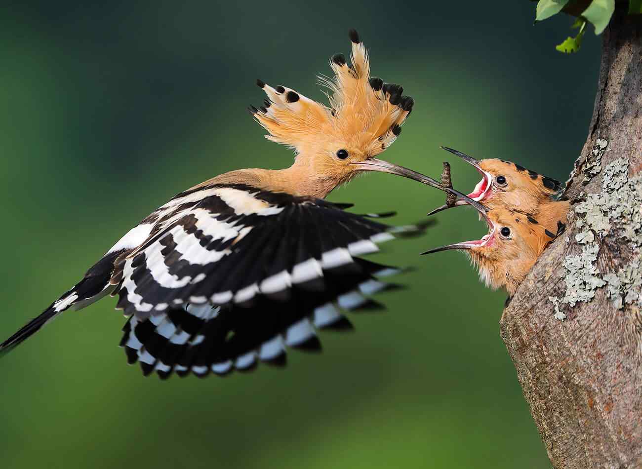 http://www.noriah.co/chctdcdemo/wp-content/uploads/2022/03/image_inner_02.jpg