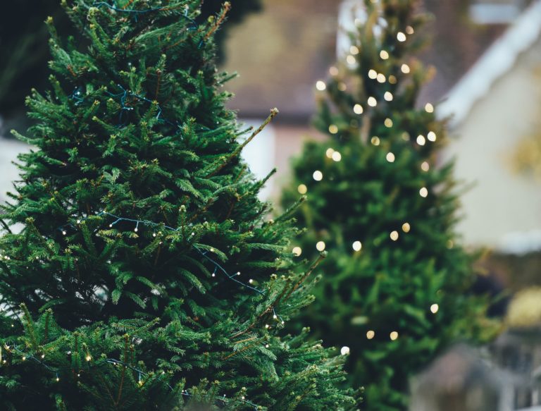 A Congress Heights Non-Profit Will Help The Neighborhood Ring in Christmas With Socially Distanced Celebrations